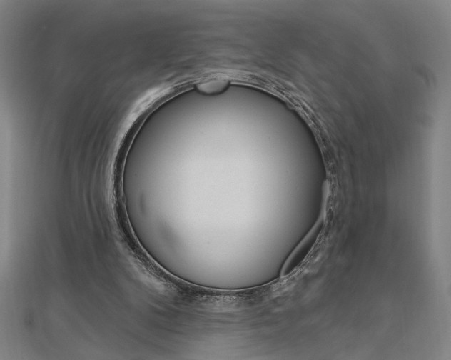 X0000112980104200908270927