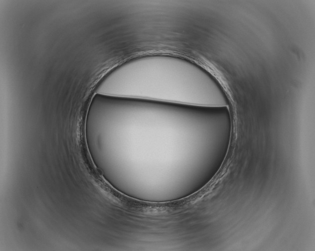 X0000112980105200908270927