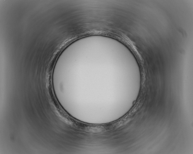 X0000112980106200908270927