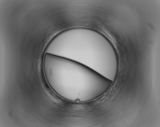 X0000112980107200908270927