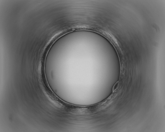 X0000112980108200908270927