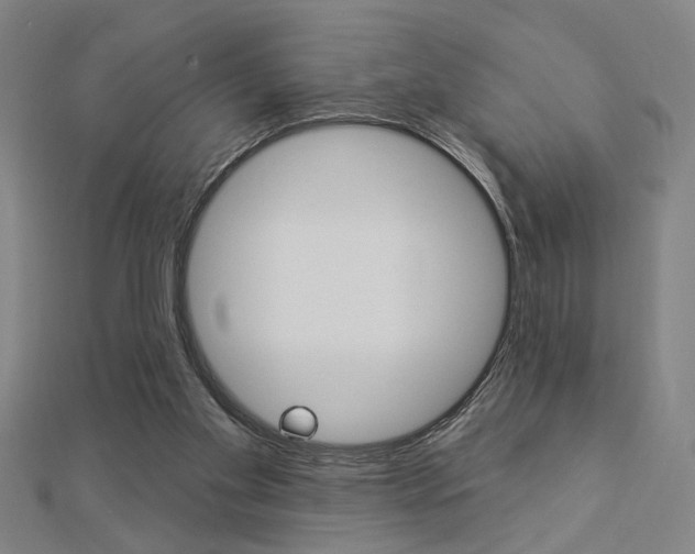 X0000112980109200908270927