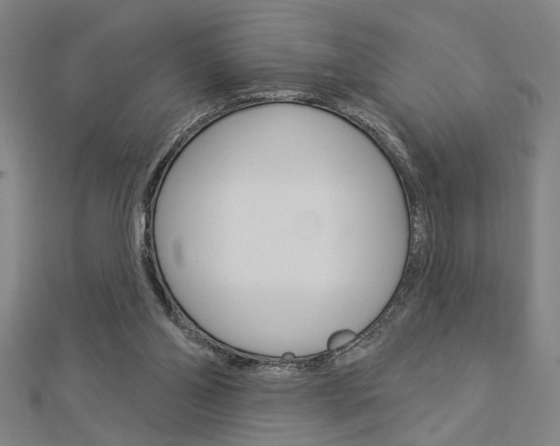 X0000112980110200908270926