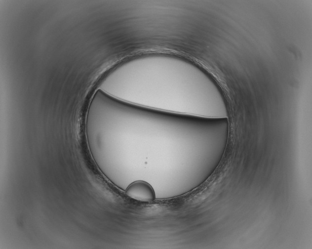 X0000112980111200908270926