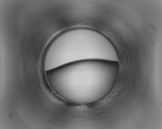 X0000112980112200908270926