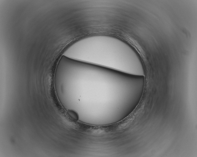 X0000112980113200908270926