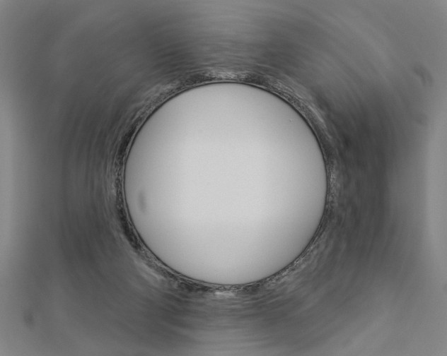 X0000112980114200908270926