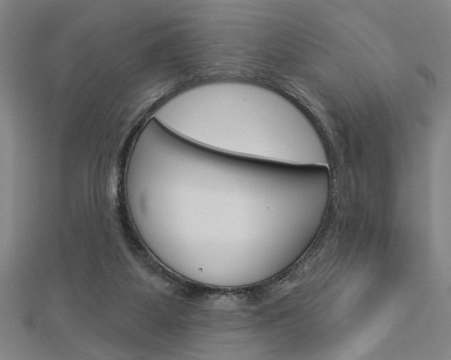 X0000112980115200908270926