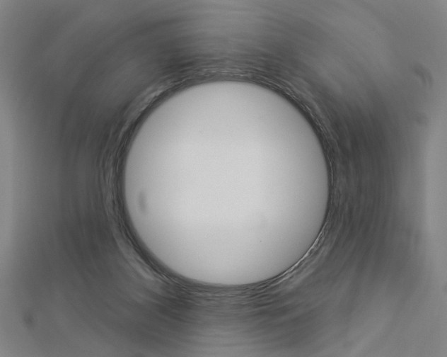 X0000112980116200908270926