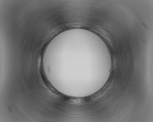 X0000112980118200908270926