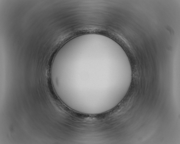 X0000112980119200908270926