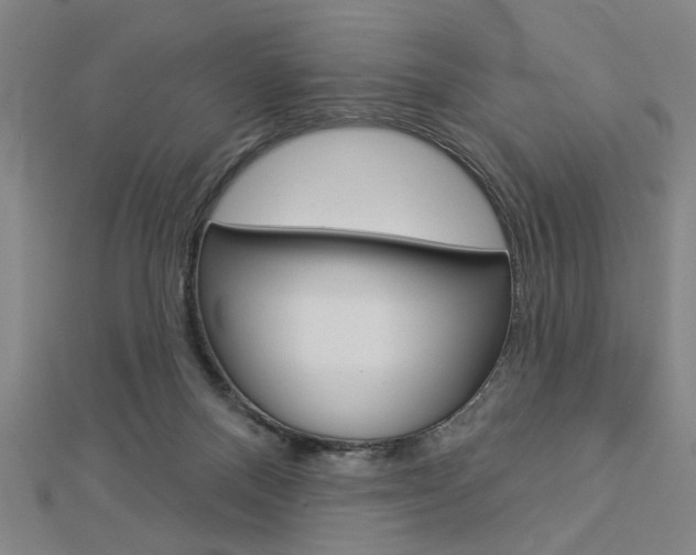 X0000112980120200908270926