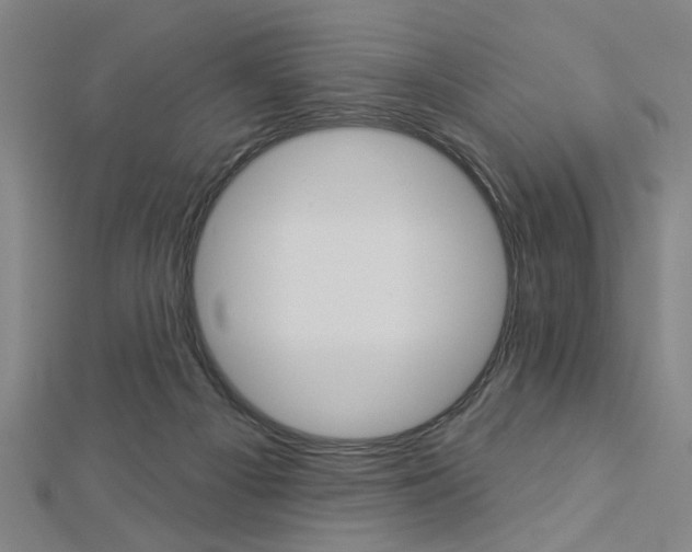 X0000112980121200908270926