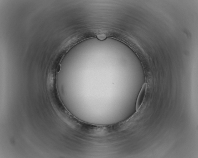 X0000112980124200908270926