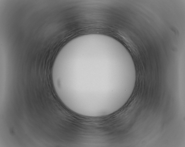 X0000112980125200908270926