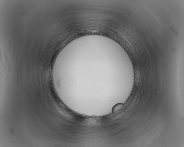 X0000112980126200908270926