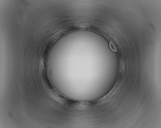X0000112980128200908270926