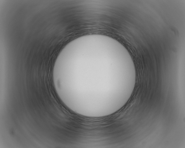 X0000112980129200908270926