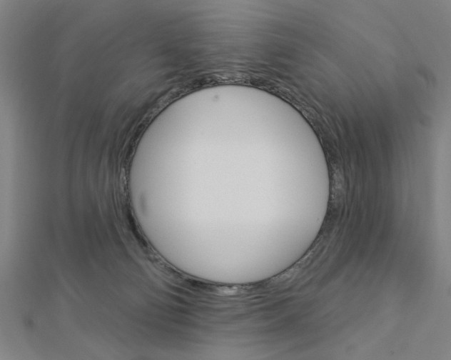 X0000112980130200908270926