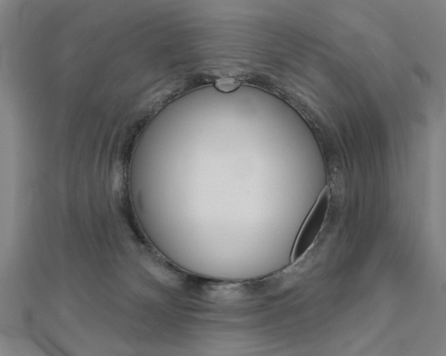 X0000112980132200908270926