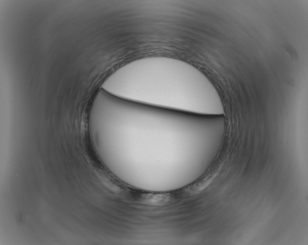 X0000112980135200908270926