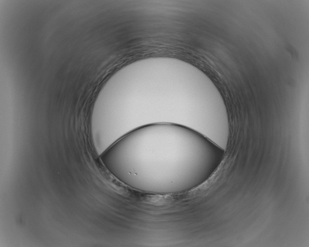 X0000112980136200908270926