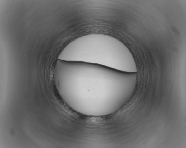 X0000112980137200908270926