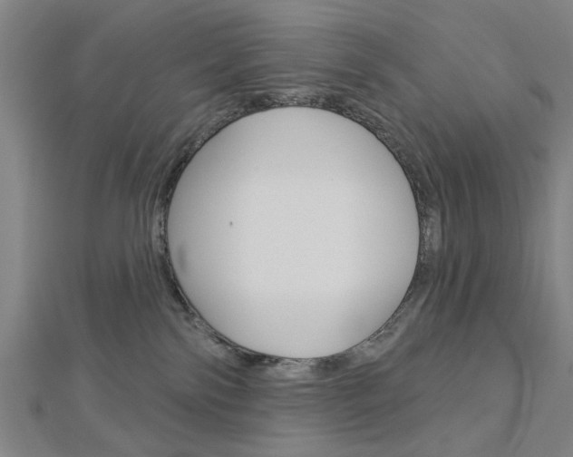 X0000112980138200908270926