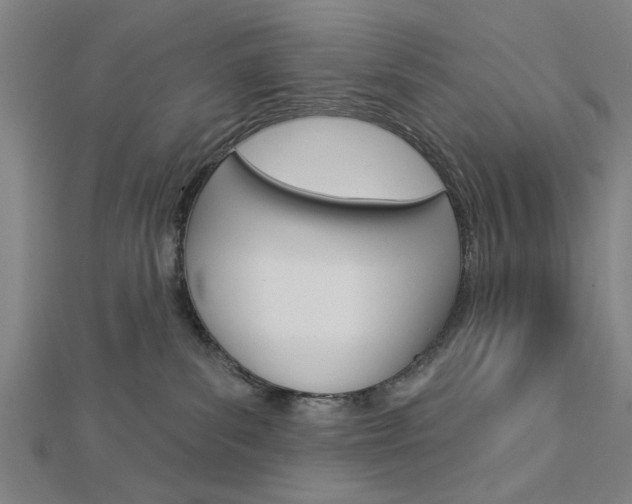 X0000112980139200908270926