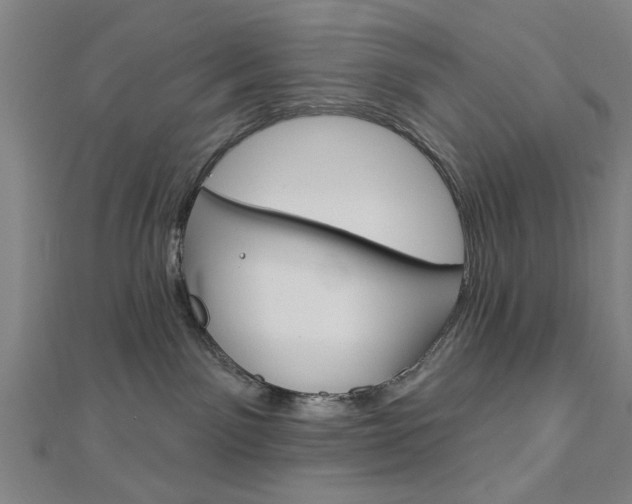 X0000112980141200908270926