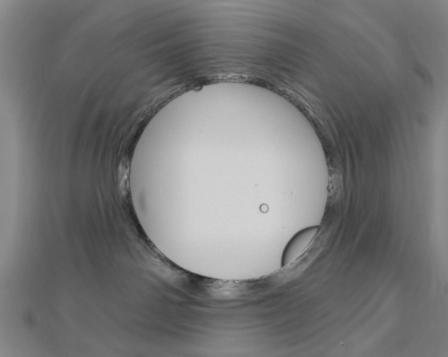 X0000112980142200908270926
