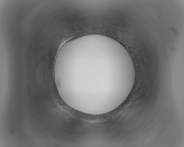 X0000112980144200908270926