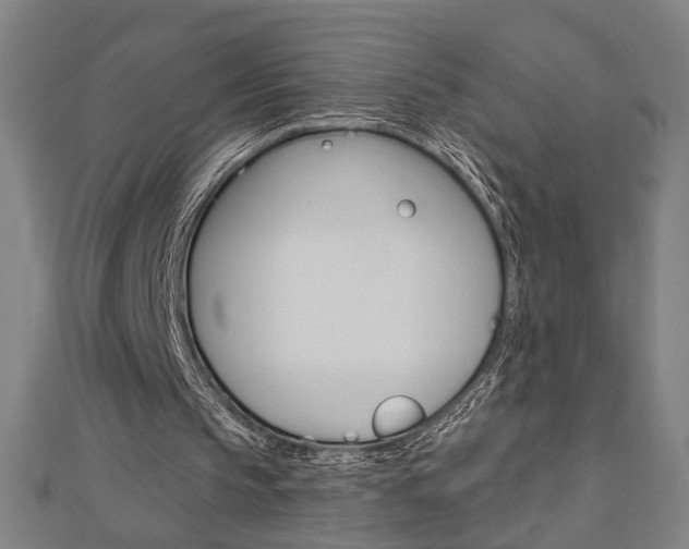 X0000112980145200908270925