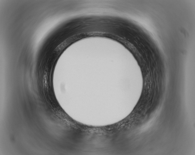X0000112980146200908270925