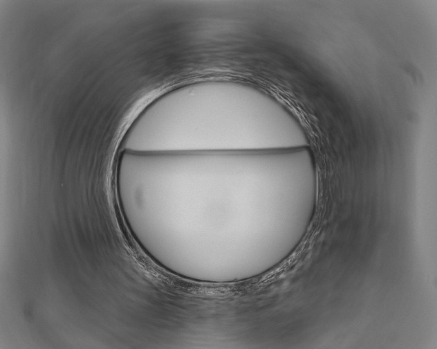 X0000112980147200908270925