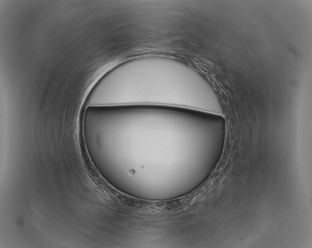 X0000112980148200908270925