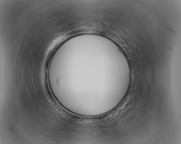 X0000112980149200908270925