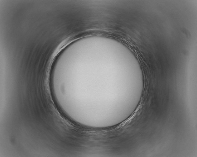 X0000112980150200908270926