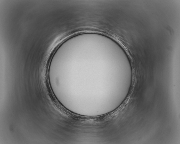 X0000112980151200908270926