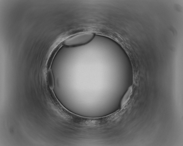 X0000112980152200908270926