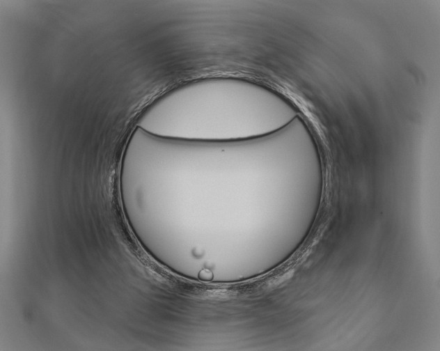 X0000112980153200908270926