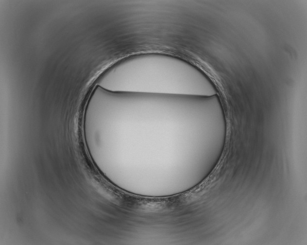 X0000112980155200908270926