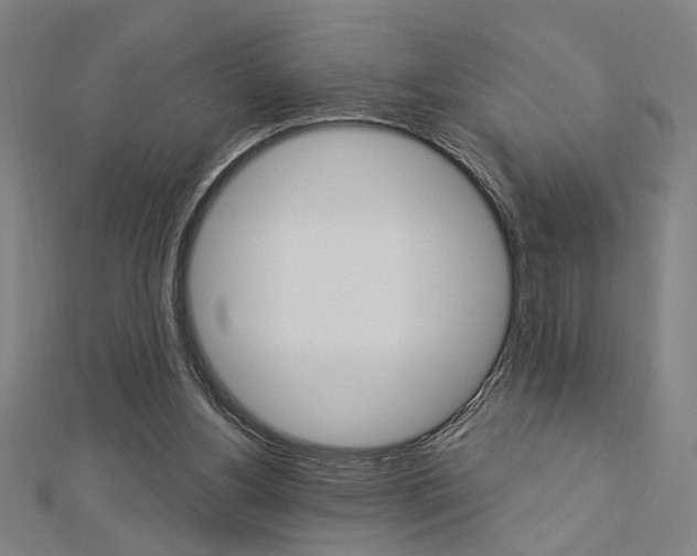 X0000112980156200908270926