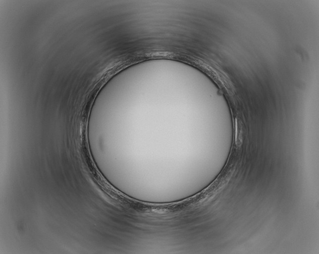 X0000112980157200908270926