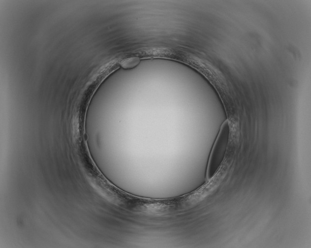 X0000112980158200908270926