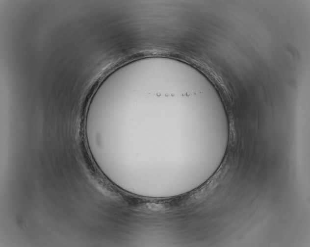 X0000112980159200908270926