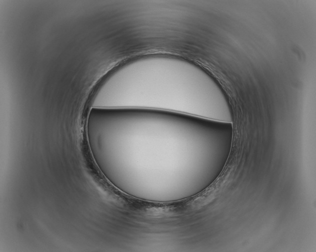 X0000112980160200908270926
