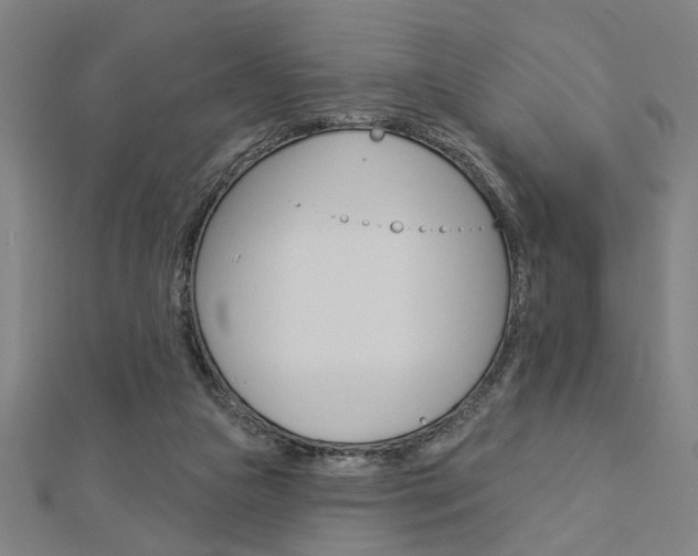 X0000112980161200908270926