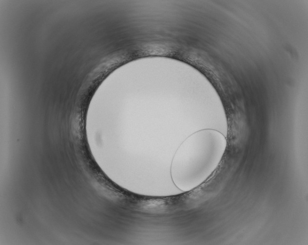 X0000112980162200908270926