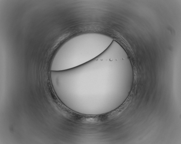 X0000112980163200908270926